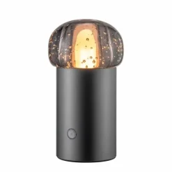 Blomus Bordlamper>Iris Mobile LED Lamp Gun Metal