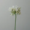 Botané Studios Kunstige Blomster>Agapanthus Flower White