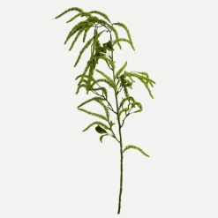 Botané Studios Kunstige Blomster>Amaranthus Cruentus Flower Green