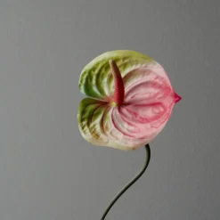 Botané Studios Kunstige Blomster><noscript><img width=