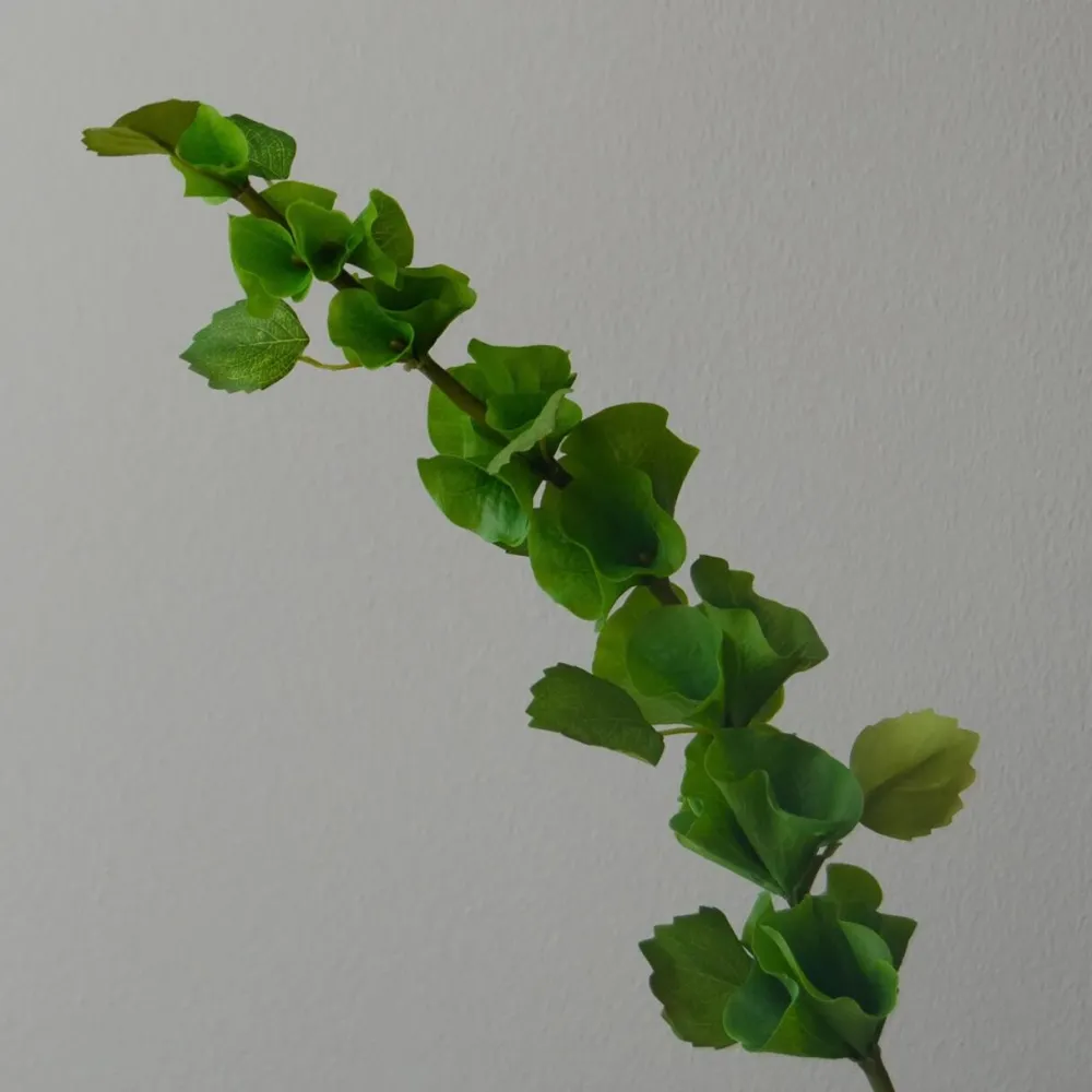 Botané Studios Kunstige Blomster>Bells Of Ireland Flower Green