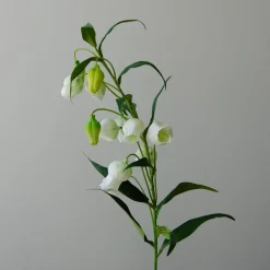 Botané Studios Kunstige Blomster>Chinese Lantern Lily Flower White