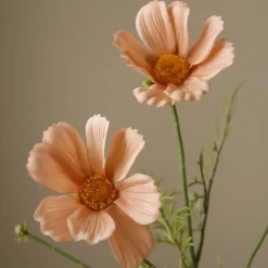 Botané Studios Kunstige Blomster>Cosmo Daisy Flower Champagne
