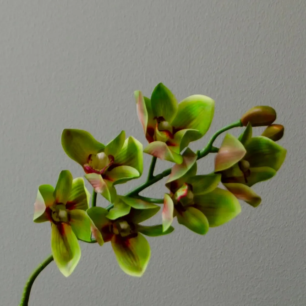 Botané Studios Kunstige Blomster>Cymbidium Orchid Flower Green