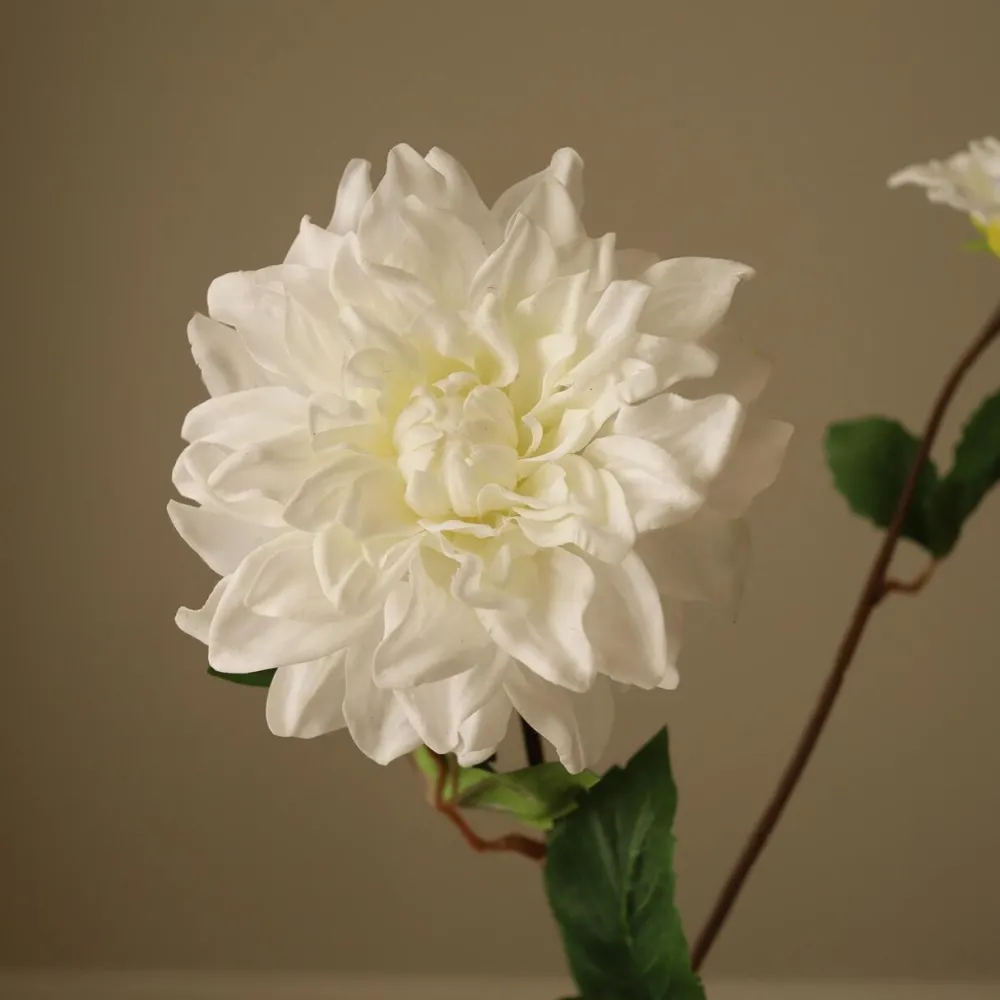 Botané Studios Kunstige Blomster>Dahlia Flower White