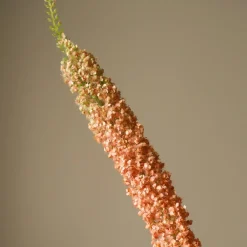 Botané Studios Kunstige Blomster>Eremurus Large Foxtail Lily Orange