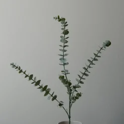 Botané Studios Kunstige Blomster>Eucalyptus Five Leave Green