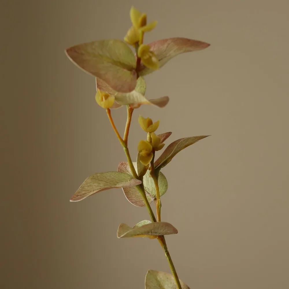 Botané Studios Kunstige Blomster>Eucalyptus Leave White