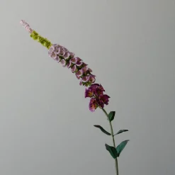 Botané Studios Kunstige Blomster>Foxtail Flower Purple