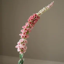 Botané Studios Kunstige Blomster><noscript><img width=