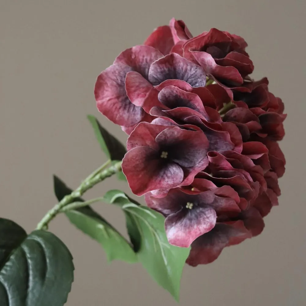 Botané Studios Andet Boligtilbehør|Kunstige Blomster>Hydrangea Flower Burgundy