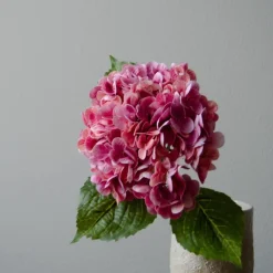 Botané Studios Kunstige Blomster><noscript><img width=