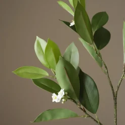 Botané Studios Kunstige Blomster>Jasmine Leave Green