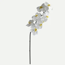 Botané Studios Kunstige Blomster>Large Orchid Flower White
