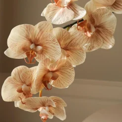 Botané Studios Andet Boligtilbehør|Kunstige Blomster>Large Orchid Flower Beige