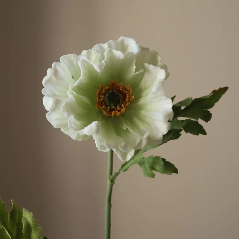 Botané Studios Kunstige Blomster>Large Poppy Flower White