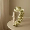 Botané Studios Andet Boligtilbehør|Kunstige Blomster>Majestic Orchid Flower Green