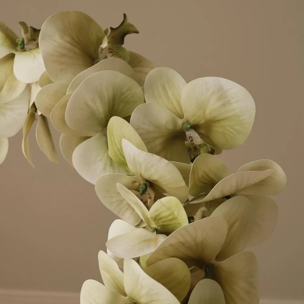 Botané Studios Andet Boligtilbehør|Kunstige Blomster>Majestic Orchid Flower Green