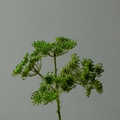 Botané Studios Kunstige Blomster>Queen Anne's Lace Flower Green