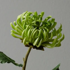 Botané Studios Kunstige Blomster><noscript><img width=