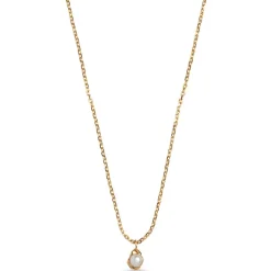 Enamel Copenhagen Smykker>Necklace Darla Gold-Plated