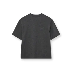 Dame HEYANNO Overdele>Trust Stable T-shirt Grey Melange