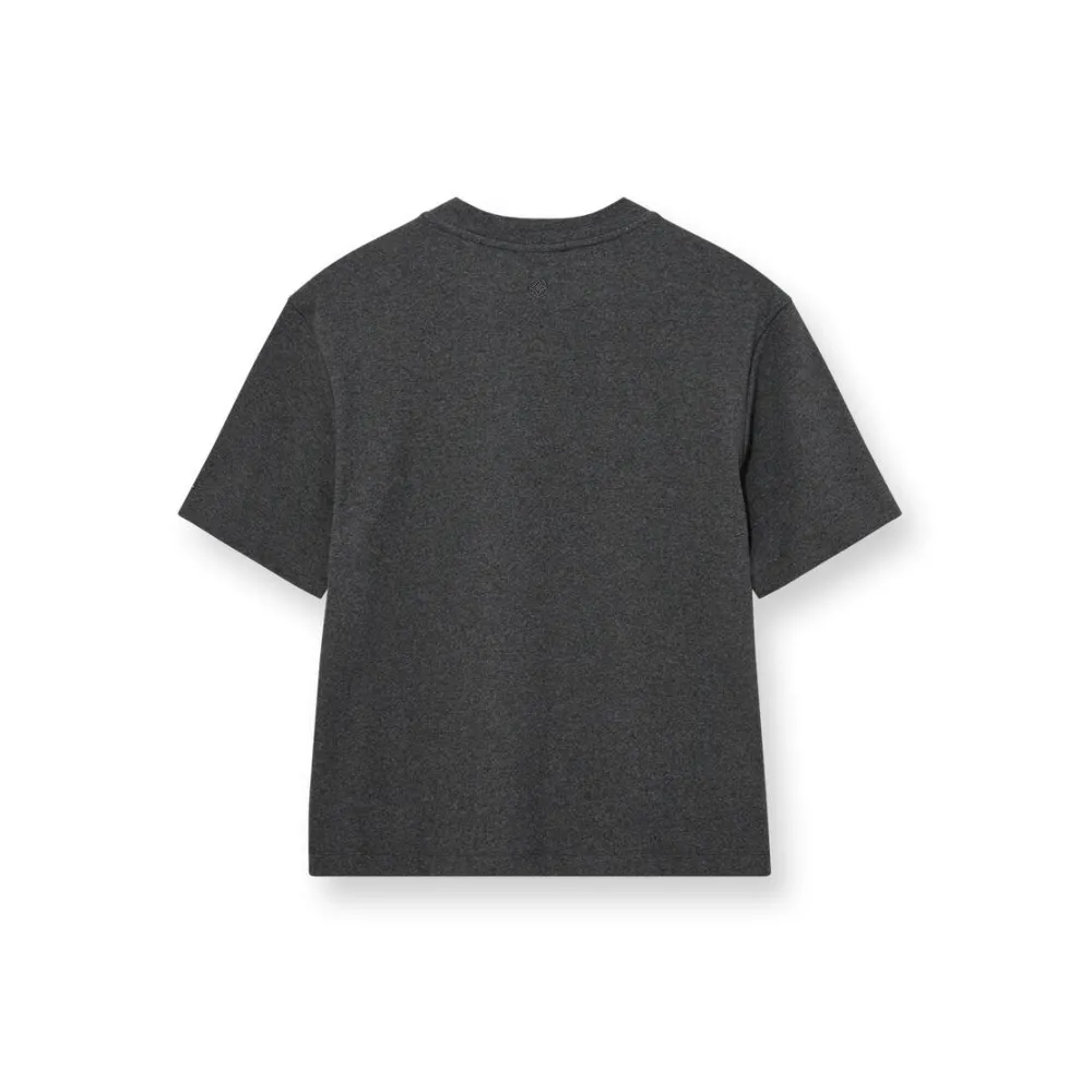 Dame HEYANNO Overdele>Trust Stable T-shirt Grey Melange