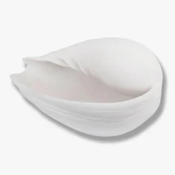 Mette Ditmer Andet Boligtilbehør>Conch Shell Large Off-White