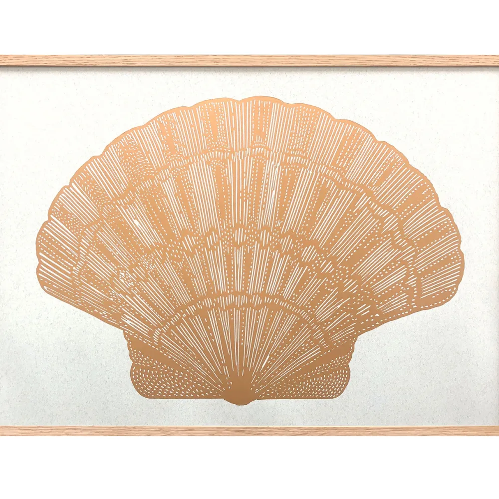 Monika Petersen Stue|Illustrationer & Plakater>Musling-Seashell Gold/Sand