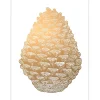 Monika Petersen Illustrationer & Plakater>Pinecone Gold/White