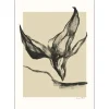 Poster & Frame Andet Boligtilbehør|Illustrationer & Plakater>Anna Mörner Nature 30x40 cm