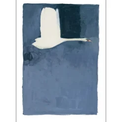 Poster & Frame Illustrationer & Plakater>The Swan II 50x70 cm